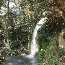 北島國造館にて・滝
