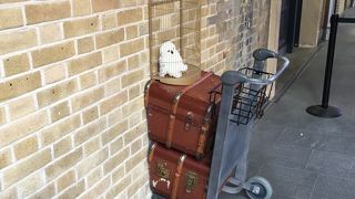 飛び上がって写真を撮りましょう