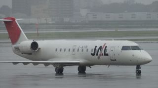 国際線がある時とは違い、国内線専用で時間制限もあるので空いています