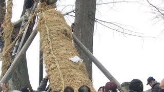 お綱祭り