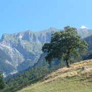 スイスの絶景に感動　(1)　マイエンフェルトのハイジの村を散歩