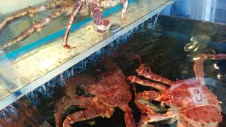 ～北海道ならではの市場です～★☆魚介類が安く販売されていました☆★