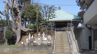 旧大山街道沿いにある真宗のお寺で、石段を上がった境内は、大山が良く見える好展望地です。