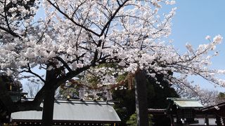 横浜にある、関東のお伊勢様