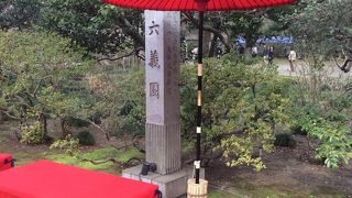 しだれ桜がとてもきれいでした。