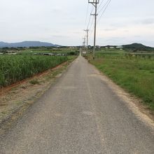 ただただのどかな一本道です。