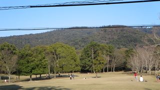 ゆっくりと散策するのもいいですよ。