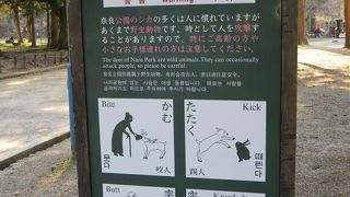 お行儀がいいです