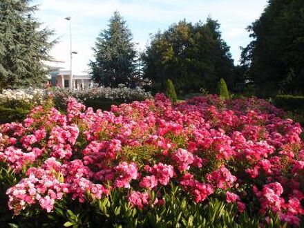Holiday Inn Paris - Charles de Gaulle Airport 写真