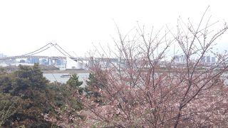 どこからでも目立ちます。