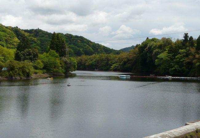 ちょっと遊歩道があって...釣り場みたいですよ