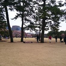 本丸跡広場です。