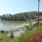 四季を通じて楽しめる公園