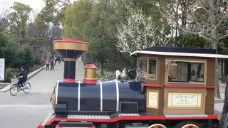 大阪城公園・・・・こんな列車が走ってます・・・・・・・桜が咲くころ見ましたよ＾０＾