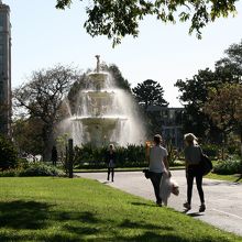 暑い日も噴水が涼しげ