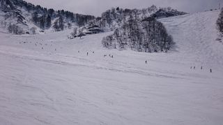 広くてのんびり