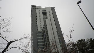 桜を見上げるとそこに大学が。