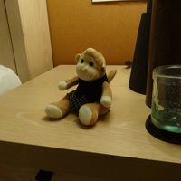 コンラッドモンキー