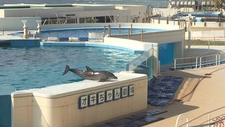 無料で見ごたえあり