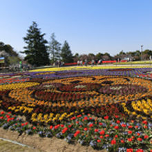 ことしはアンパンマンでした