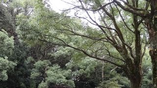城山公園