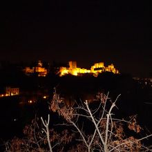 反対がわの丘から夜景を眺める