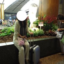 小さなマーライオンがいます。