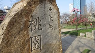 平成27年3月21日 開花状況☆☆☆☆