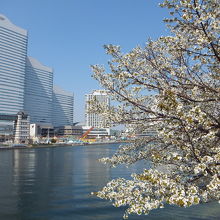 クイーンズタワーを望みます。