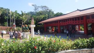 スーパーエイサーが見られます