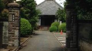 樹齢６００年の椎の木