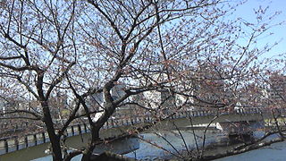 少し早すぎたが・・・・・