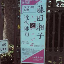 藤田湘子と近代俳句