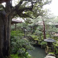 武家屋敷の中庭です