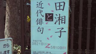 桜咲く「西海土小路」の文学館で藤田湘子没後１０年記念展を鑑賞に