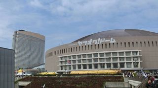 ホークスファンは是非！