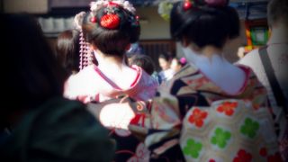 京都らしさたっぷり、桜は夜の方が良さそう