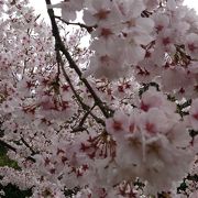 東条吉良家の菩提寺