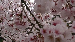 東条吉良家の菩提寺