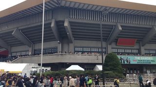 周辺の桜はとても綺麗です