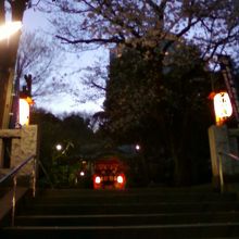 正面から見たところです。