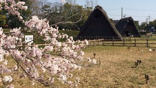 縄文時代へタイムスリップ！
