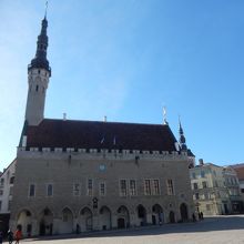 ラエコヤ広場に隣接してあります