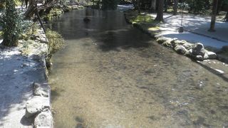 境内に小川が流れる