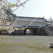 小田原城址公園