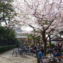 皆さんくつろいでおられました