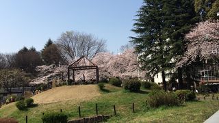 戸山公園 陽だまりの丘