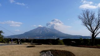 600円余計に必要だが，御殿に入ったほうがいい．抹茶付き