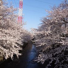 最高に綺麗ですすよ。