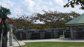 沖縄戦で亡くなった全ての人々の名前が刻まれています